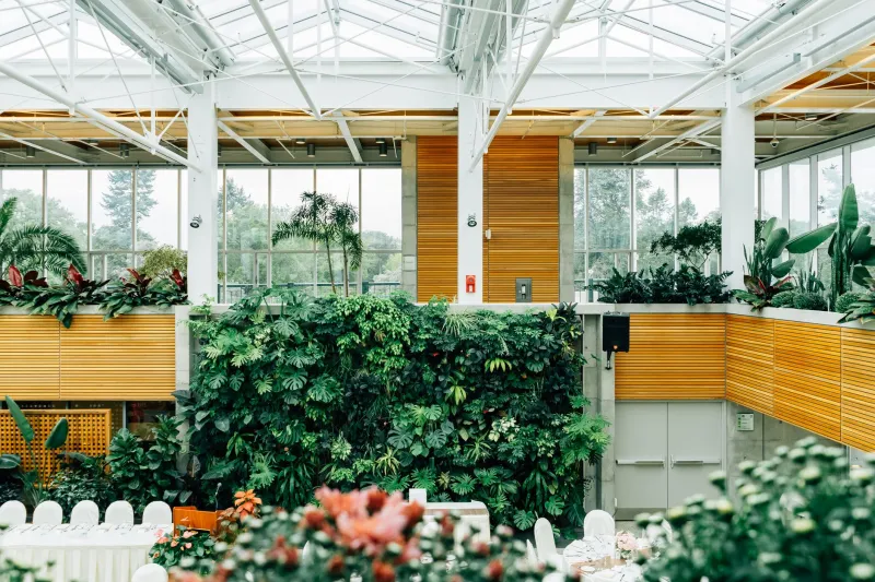 Why Your Spa Day Feels So Healing: The Science of Biophilic Design and Nature's Role in True Wellness
