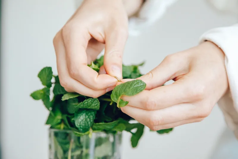 From Soil to Soak: How a Small Herb Garden Can Turn Your Self-Care Routine Into Something Truly Your Own